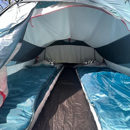 The Esn Kingsday Campsite Amsterdam Bagian luar foto